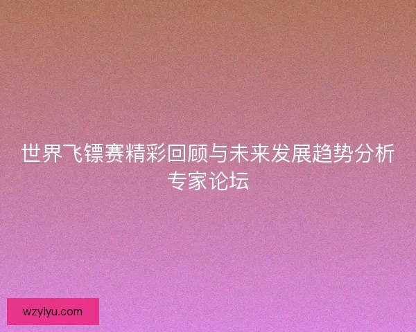 世界飞镖赛精彩回顾与未来发展趋势分析专家论坛