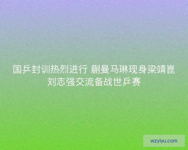 国乒封训热烈进行 蒯曼马琳现身梁靖崑刘志强交流备战世乒赛