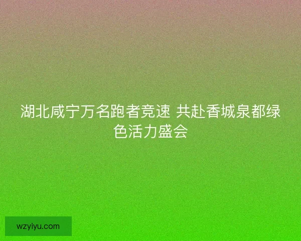 湖北咸宁万名跑者竞速 共赴香城泉都绿色活力盛会